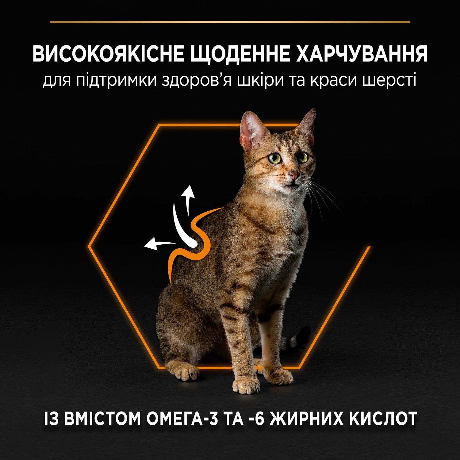 Сухой корм для кошек Purina Pro Plan Adult Derma Care поддержка здоровья кожи и красоты шерсти с лососем 10 кг (7613036529235) 000090043 фото