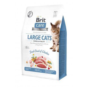Корм сухой Brit Care Cat Grain Free Large Power Vitality для взрослых кошек больших пород с уткой и курицей 400 г (8595602540921) S1111162374 фото