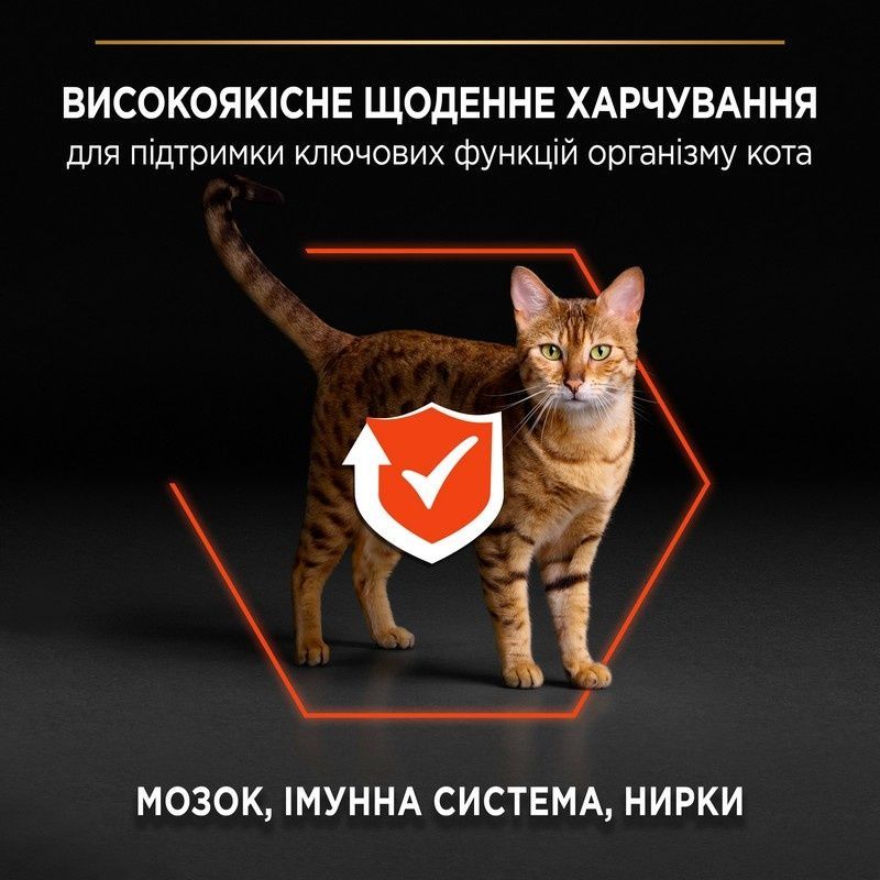Сухий корм Pro Plan ORIGINAL для котів з лососем 10 кг (7613036508315) 000077208 фото